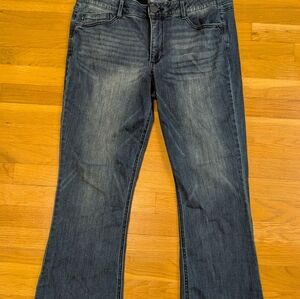 Democracy Indigo Flare Jeans - Petite